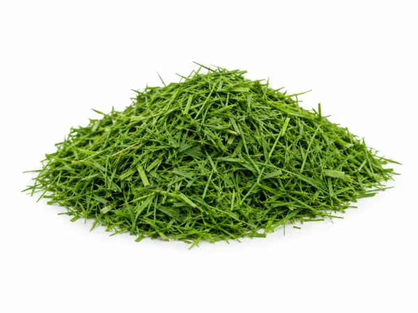 Gemaaid gras voor de groenafvalcontainer